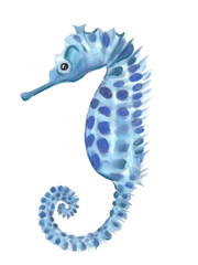 Obraz premium Hand-painted blue seahorse illustration with soft textures and a whimsical look. Perfect for children's designs, underwater themes, and marine decor. 