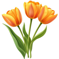 Fototapeta premium A vibrant trio of stylized tulips basking on a stark, contrasting background