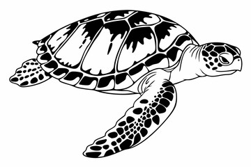 Fototapeta premium Black and White Illustration of a Sea Turtle Swimming