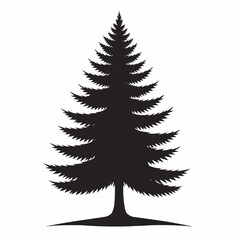 Fototapeta premium pine tree stand silhouetted on a hill