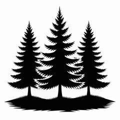 Obraz premium Three pine trees stand silhouetted on a hill