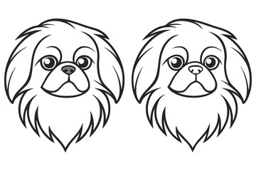 Two Pekingese dog faces stare with curious eyes in a monochromatic on transparent background