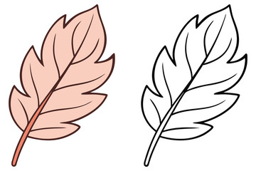 Fototapeta premium Delicate pink and black outline leaf with defined veins evokes natural simplicity on white