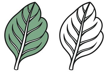 One shaded lightgreen leaf appears beside its black and white outline version, showing detail
