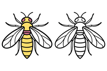 One honeybee has yellow tones and one has black outlines, transparent background
