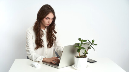 Focused businesswoman working on laptop at desk with plant decoration in minimalist office setting
