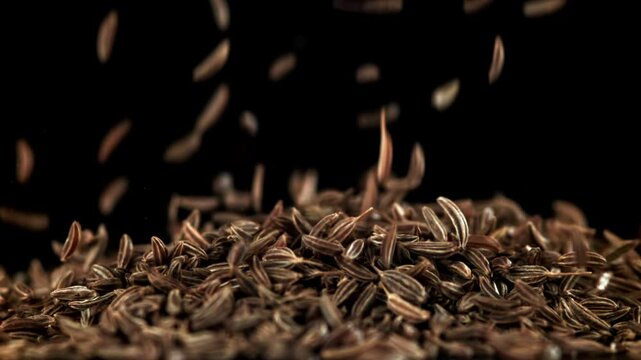 Cumin seeds fall on the table. Filmed on a high-speed camera at 1000 fps. High quality FullHD footage