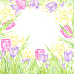 Hand drawn watercolor daffodil crocus and tulip with green leaves frame border isolated on white background. Can be used for postcard, invitation, scrapbook and other printed products.