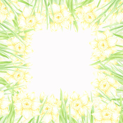 Hand drawn watercolor daffodil with green leaves frame border isolated on white background. Can be used for postcard, invitation, scrapbook and other printed products.