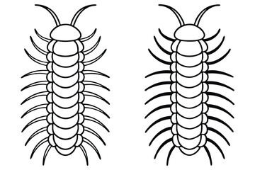 Two outline centipedes display multiple body segments and legs over a white background