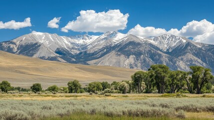 Fototapeta premium Majestic snow capped mountains appear over fields and forested foreground