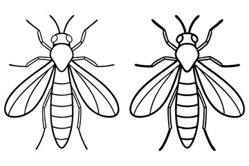 Two contoured insect outlines with wings and segmented bodies feature on a white background