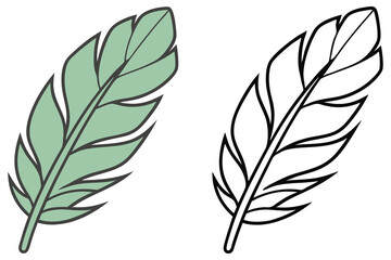 Obraz premium Isolated feather displaying pale green and black outline versions over a transparent background