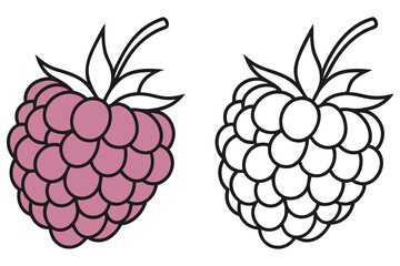Two raspberries with leaves are displayed one in color and one in outline