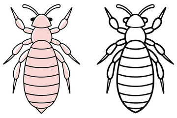 Two similar lice stand facing up one colored pink and one black outline