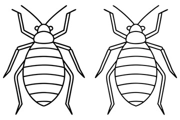 Two simple bedbug outlines face each other on a transparent background in black lines