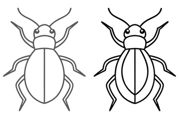 Two simple line art drawings display beetle bugs on white, showcasing insect outlines