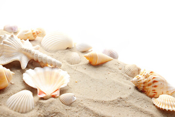 Sand and sea shells beach theme isolated on white background PNG