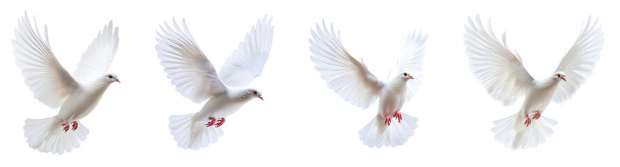 Four Graceful White Doves With Outstretched Wings Flying Against a Clear Sky with Transparent Background