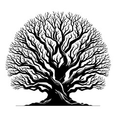 Black Tree Branch Silhouettes Bare Branch Vector Illustrations