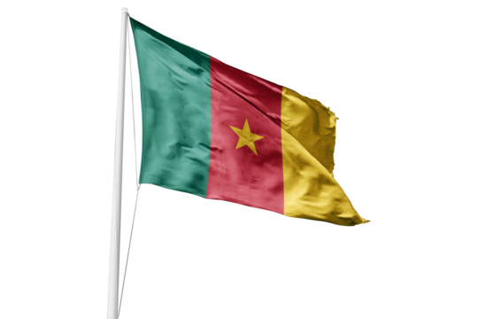 Cameroon flag 