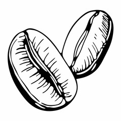 vector illustration of an apple