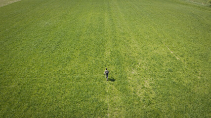 backpacker hiking on sunny day, on the Pewsey Downs, Wiltshire, south of Marlborough, United Kingdom