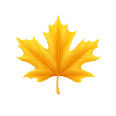 Bright yellow maple leaf against a plain PNG on a transparent background 