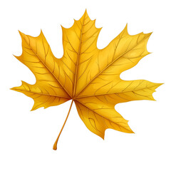 Obraz premium Colorful autumn maple leaf against PNG on a transparent background 