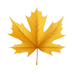 Bright yellow maple leaf in autumn season PNG on a transparent background 