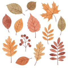 Watercolor Autumn Leaves Collection: Orange Brown Red Foliage