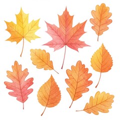 Watercolor Autumn Leaves Collection on White