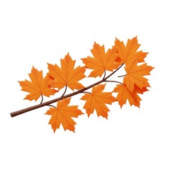 Fototapeta premium Orange Maple Leaf Branch on White Background