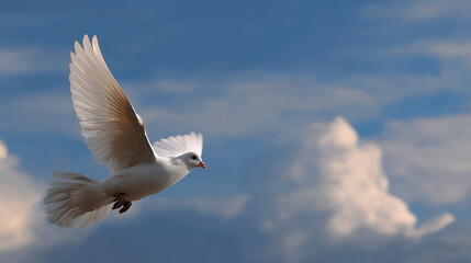Obraz premium Dove Soaring in the Sky Symbolizing Peace and Freedom