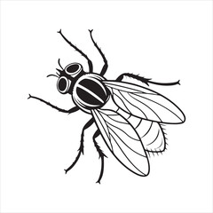 Obraz premium flying housefly vector icon