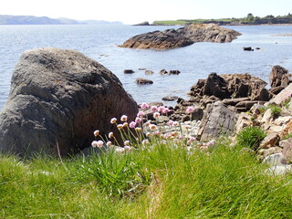 West Cork coastline