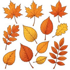 Autumn Leaves Collection: Orange Yellow Red Brown Maple Oak