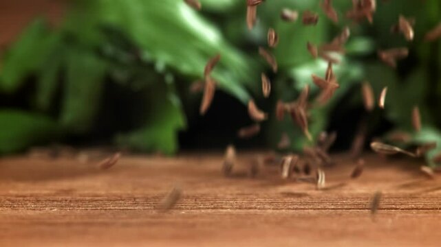 Cumin falls on a wooden table. Filmed on a high-speed camera at 1000 fps. High quality FullHD footage