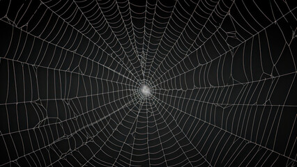Obraz premium Spider web backgrounds concentric complexity