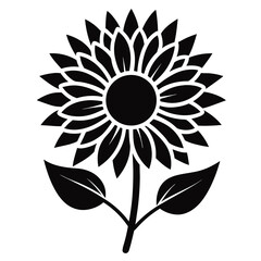 sunflower vector illustration Pro Vector