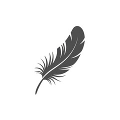 Obraz premium feather isolated on white background