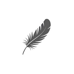 feather isolated on white background