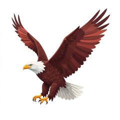 Obraz premium Majestic Brown And White Eagle In Flight Against White Background