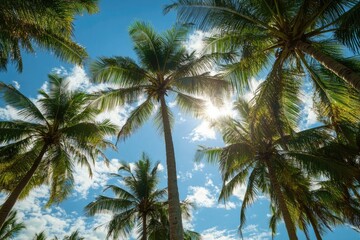 Lush palm trees reaching towards a vibrant blue sky filled with sunlight and fluffy clouds
