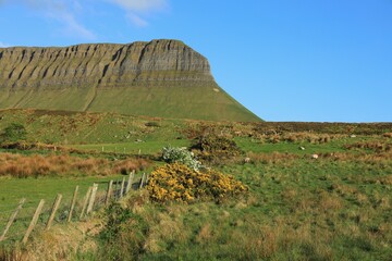 Landscape in rural County Sligo, Ireland in springtime featuring sheep grazing in fields on hillside near Benbulben Mountain with blue sky overhead 