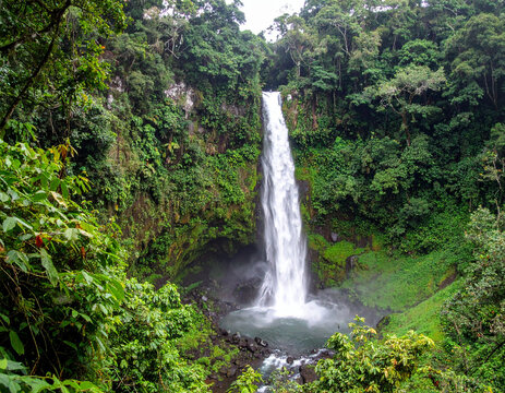 Lush waterfall cascading in a Costa Rican rainforest, natural power.