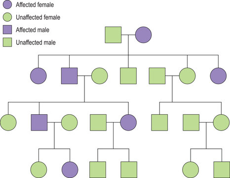 Biology. Autosomal dominant inheritance within a family. Vector illustration
