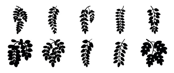 Silhouetted wisteria flower branches in different arrangements on a white background