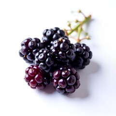 blackberry on white background