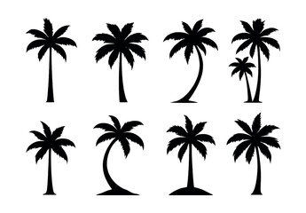 Classic palm silhouette icons set – tropical, exotic, tree, shadow, island, beach. Vector icons set